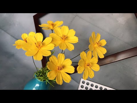 ABC TV | How To Make Cosmos Paper Flower - Craft Tutorial