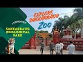 Sakkarbaug Zoological Park Junagadh Park Sakkarbaug Park Nature Travel