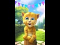 Vídeo lindo gatito cantando canción de Mechi ...
