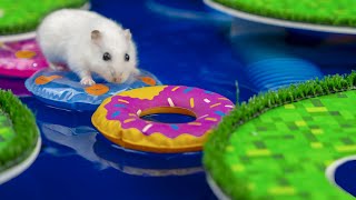 Hamster Escapes from the Minecraft Prison Maze water park maze with real water!