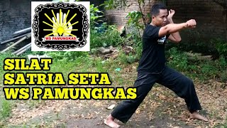 Download lagu SENI BELADIRI SILAT SATRIA SETA WS PAMUNGKAS OLEH KI SAKA mp3