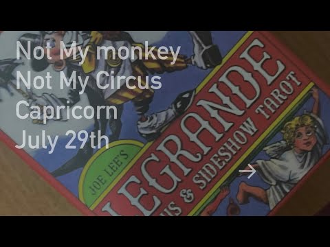 Capricorn Not My Monkey Not My Circus