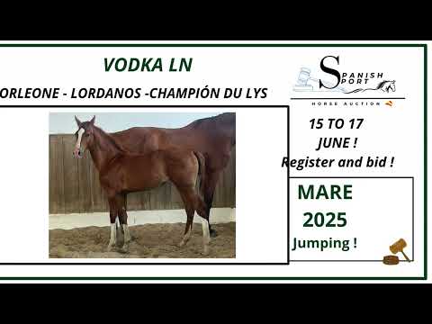 youtube preview