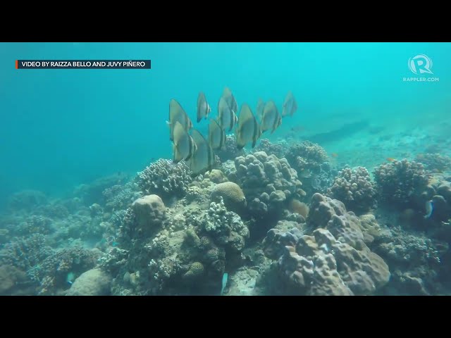 Dumaguete: ‘City of Gentle People’ fights to save coastal life