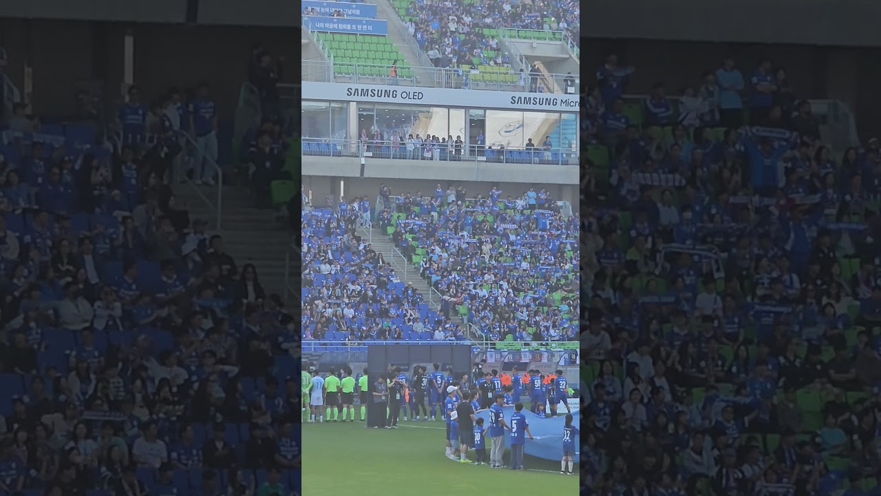 #수원삼성 #수원삼성블루윙즈 #k리그2 #한국축구 #축구직관
