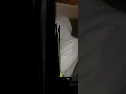 Block Baby Freestyle