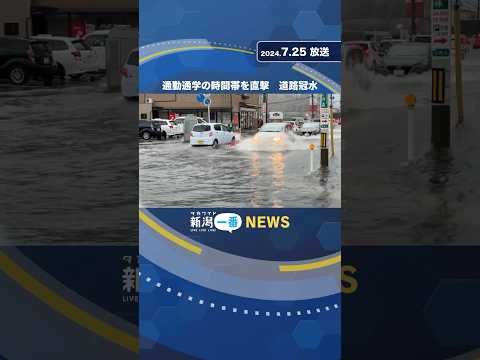 4回に1回の大雨は「自家製」