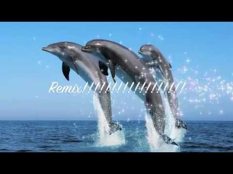 DEATH GRIPS/APHEX TWIN/LIL WAYNE/YUNG LEAN/KRAFTWERK/AKON/SEAL MASHUP