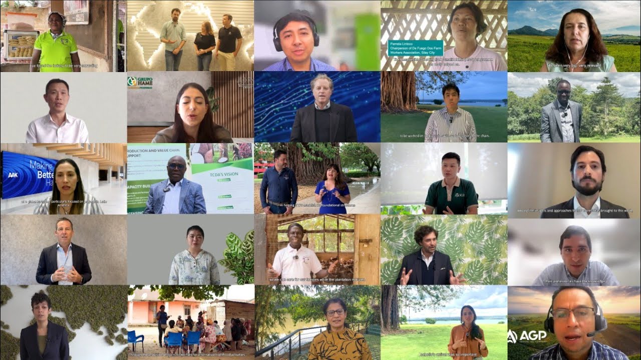 Impact Stories: 2025 Roundup