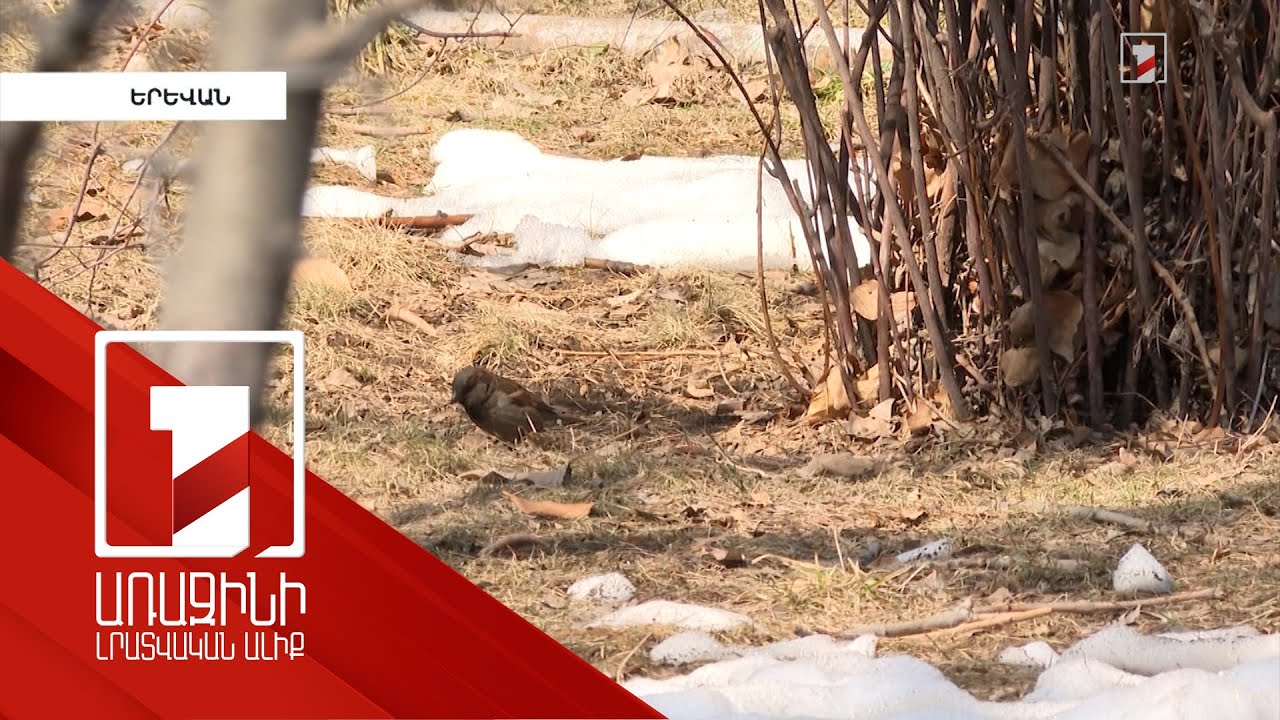 Մարտին օդի ջերմաստիճանը կլիմայական նորմայից բարձր կլինի 3-4 աստիճանով