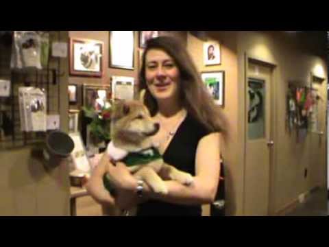 download lagu mp3 mp4 Vet Calgary Nw, download lagu Vet Calgary Nw gratis, unduh video klip Vet Calgary Nw