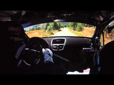 CameraCar 56° Coppa Valtellina 2012 Gianesini - Fay Peugeot 207 Super 2000 SHOW!!