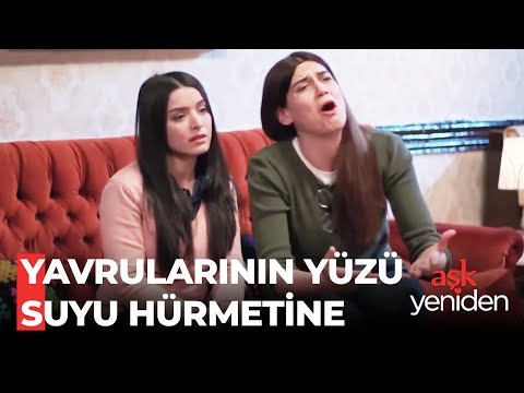 Fadik ve Şaziment'in, Ayfer'i İkna Çabası - Aşk Yeniden