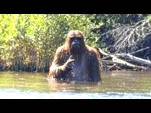 This Fisherman Just Released The Clearest Video Of A Bigfoot Ever Taken..