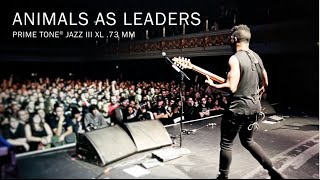 Dunlop Animal As Leaders Player's Pack de 3, 0,73mm green - Video