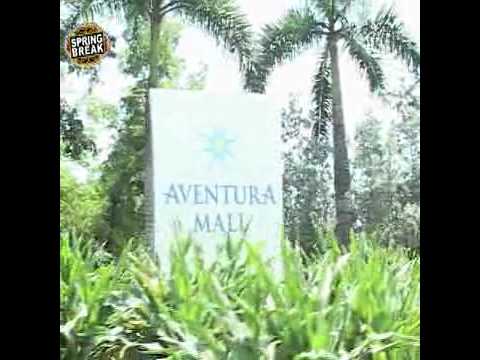 SPRING BREAK MIAMI