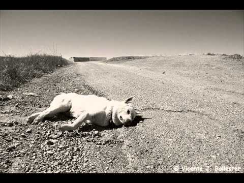 JOSE LARRALDE- Un perro muerto nomas