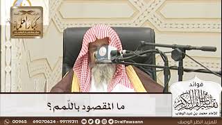 [206] ما المقصود باللّمم؟ - صالح الفوزان