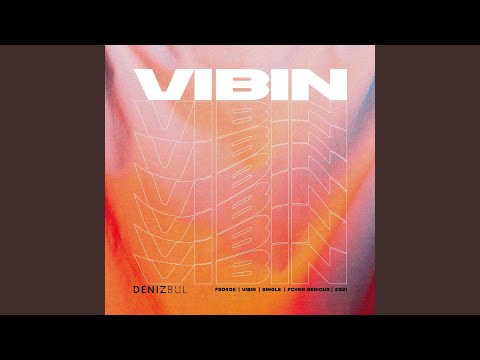 VIBIN (Extended Mix)