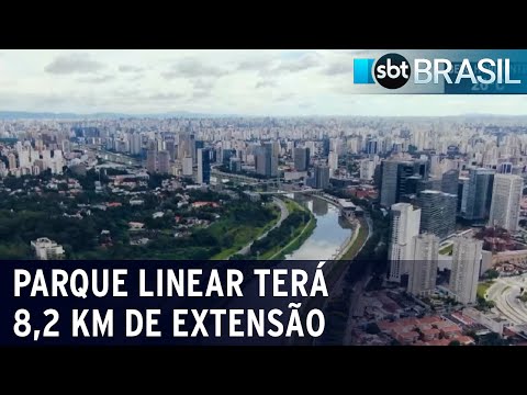 São Paulo receberá parque linear à margem do Rio Pinheiros em 2022 | SBT Brasil (03/02/21)