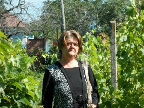 COROPCENI -  VARA 2013