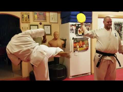 Mawashi Geri Dominic kicking pad