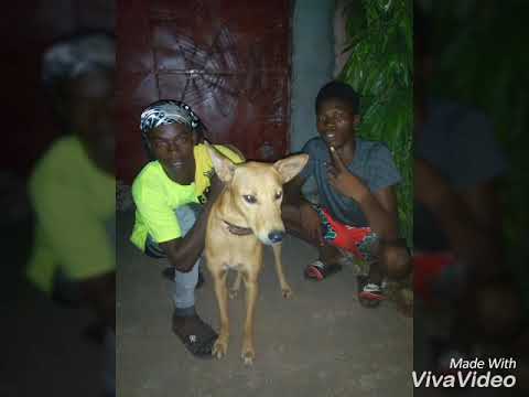 Tvk Gang feat baloukou Gang son Tareé
