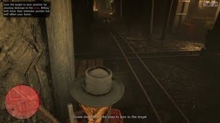 Red Dead Redemption 2 Online - Learning To Use A Ladder