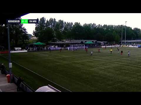 Samenvatting XerxesDZB - ARC