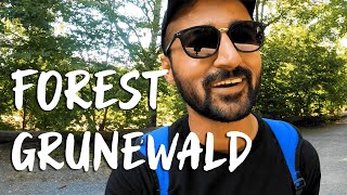 Grunewald Forest Berlin - Tourist Attractions in Berlin Germany | Paki