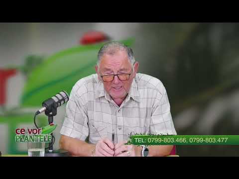 What treatments can we use for big and beautiful fruits Cristina Ghibu and Horia Ghibu