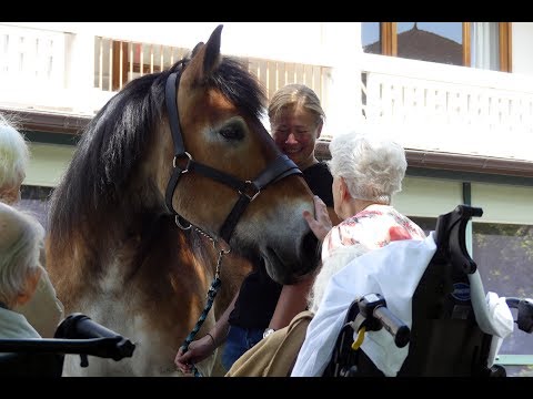 download lagu mp3 mp4 Medecin Saint Julien En Genevois, download lagu Medecin Saint Julien En Genevois gratis, unduh video klip Medecin Saint Julien En Genevois