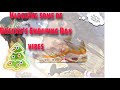 Are They Fighting In Santa S Mall 🫣Nike Shopping Day Roseau Dominica