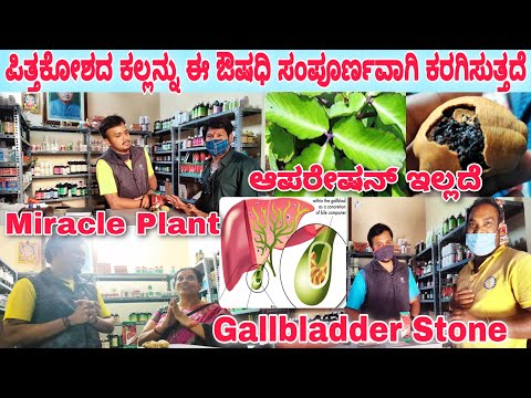 Allopathic Liver Tonic - Allopathic Liver Syrup Latest Price ...