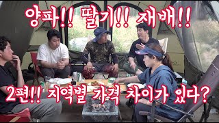 자연이팜대장정!! 양파!! 딸기!! 시세가 고정적인가?? 전국 가격이 비슷한가? 남다른 …