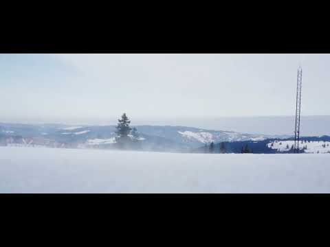 Sebastian Barbu I Skoda Fabia R5 I Whatever the Weather