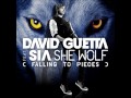 David Guetta Feat. Sia - She Wolf Instrumental + ...