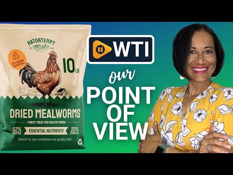 Bulk Dried Mealworms 10 lbs – Premium Organic Non-GMO Dried Mealworms for Chickens – High Protein Chicken Feed Meal Worms for Wild Birds & Chicken Treats for Laying Hens 10 Pound (Pack of 1) - WTI product video review