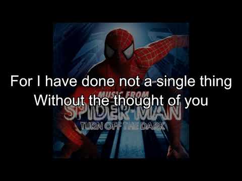 Boy Falls from the Sky - Karaoke w Lyrics