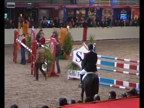 ♂ Diarado- jumping stallion  (Holst) by Diamant de Semilly