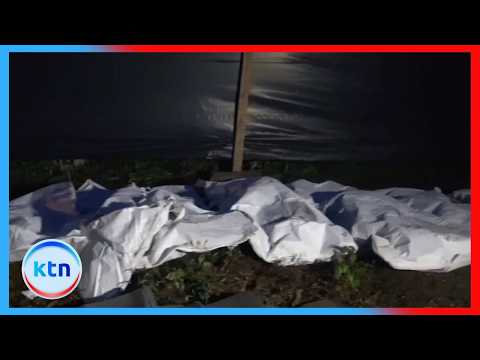 Kericho Mass Grave: Few Signs of Injury, Most Died of Prematurity