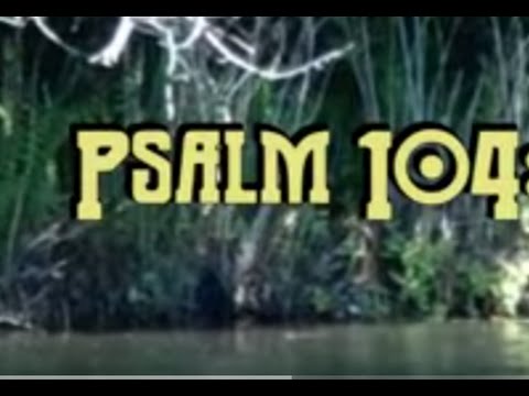 Cover image for YouTube video Creation Glory