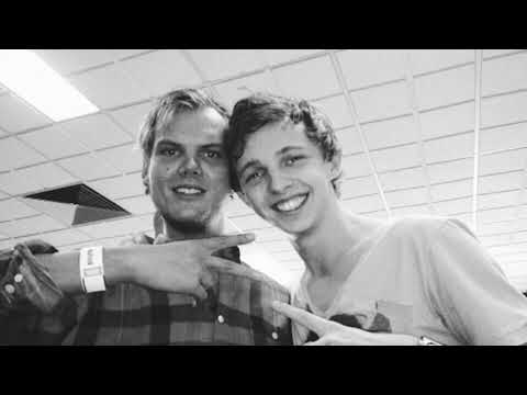 Arty - Tim（Avicii tribute）