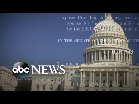 2兆ドルの救済計画の中身は？| WNT (What is in the $2 trillion relief plan? | WNT)