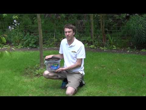 Tub of 50 Fat Balls Bird Food