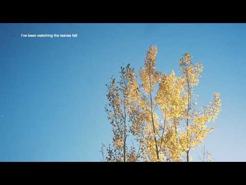 Trevor Hall and The Great In-Between - watching the leaves fall (Official Lyric Video)