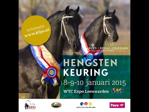 KFPS Hengstenkeuring 2015 oudere hengsten