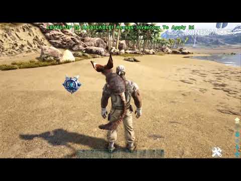 TERROR BIRDS TAMING GOES WRONG! | ARK RAGNAROK SINGLE PLAYER  - DAY 4