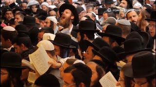 דוד חכם הרסון - חמול על מעשיך / נגינת שופר | David Chacham Herson - Chamol / Shofar Playing