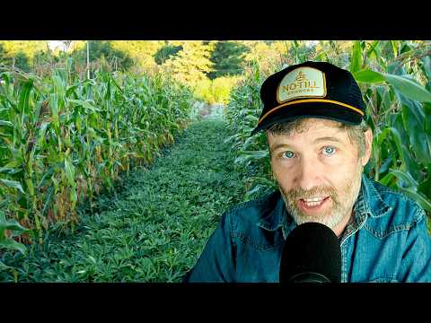 Crafting a Resilient Farm: No-Till & Climate Adaptation